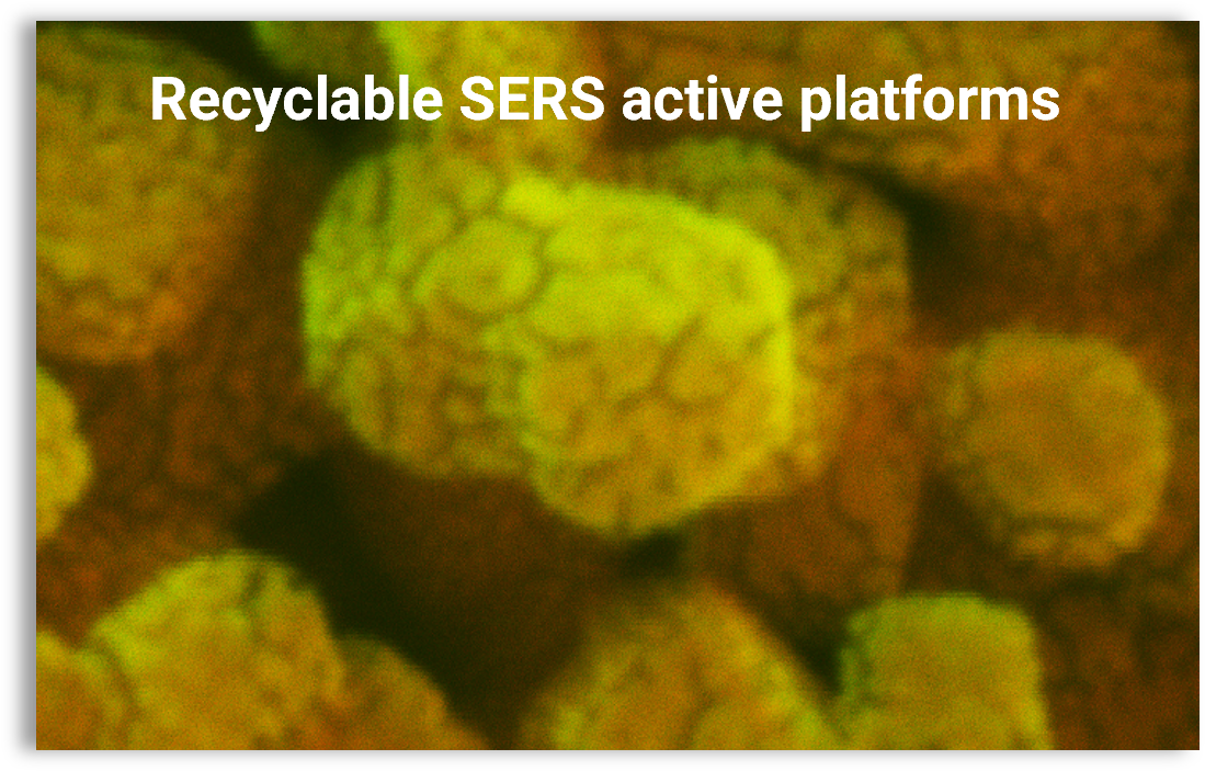 Recyclable SERS platforms