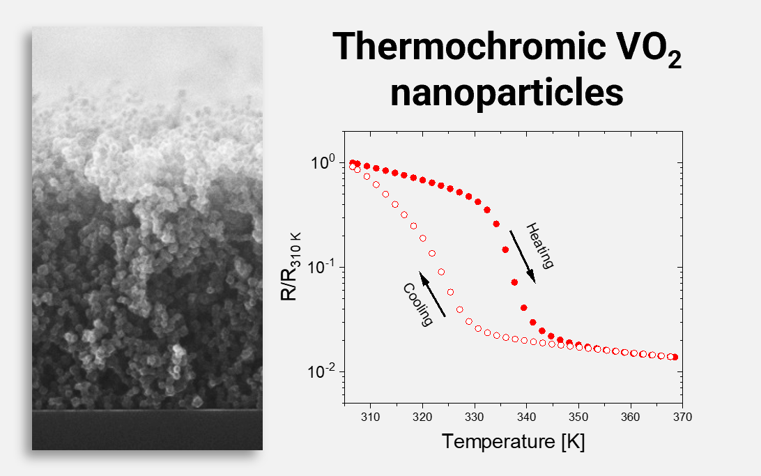 VO2 NPs